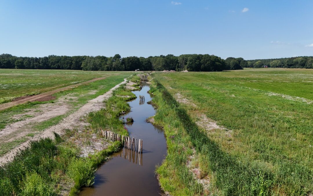 Renaturierung des Seegrabens in Niesky – wie ein Gewässer wieder lebendig wird
