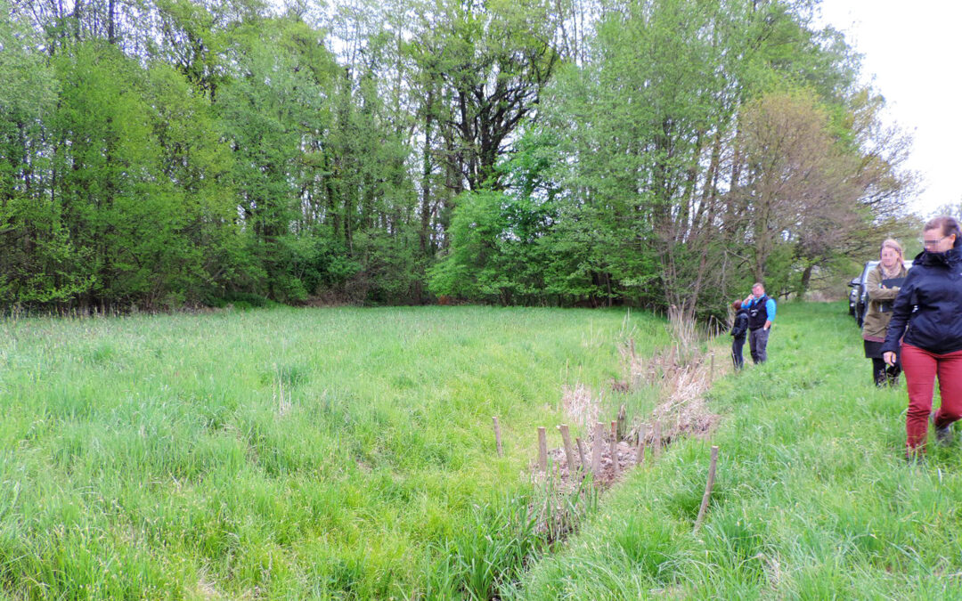 Risiken erkennen, Schäden vermeiden, effizient handeln: Warum sich der Gang ans Gewässer jetzt lohnt!